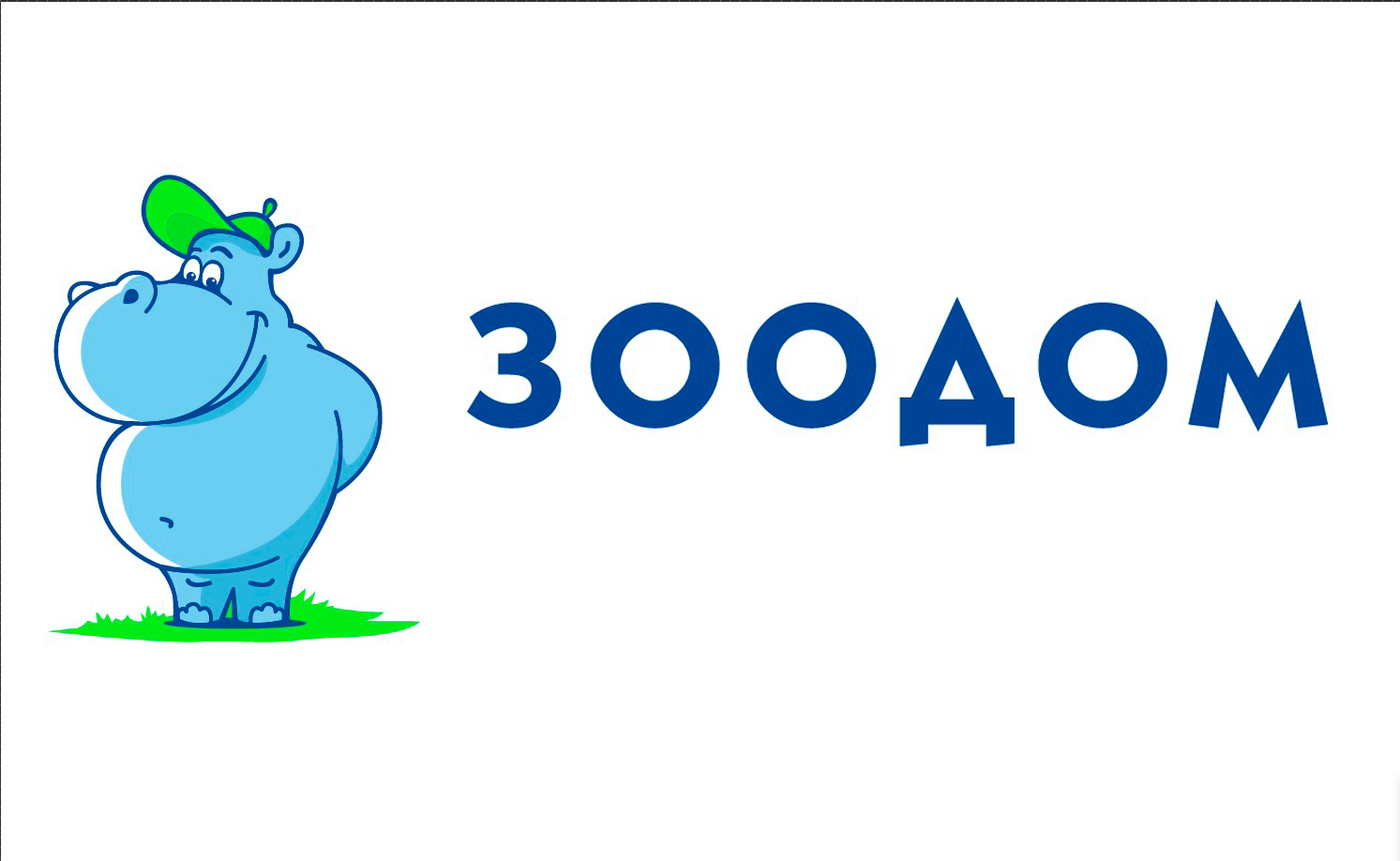 Logo-Zoodom-1493-918